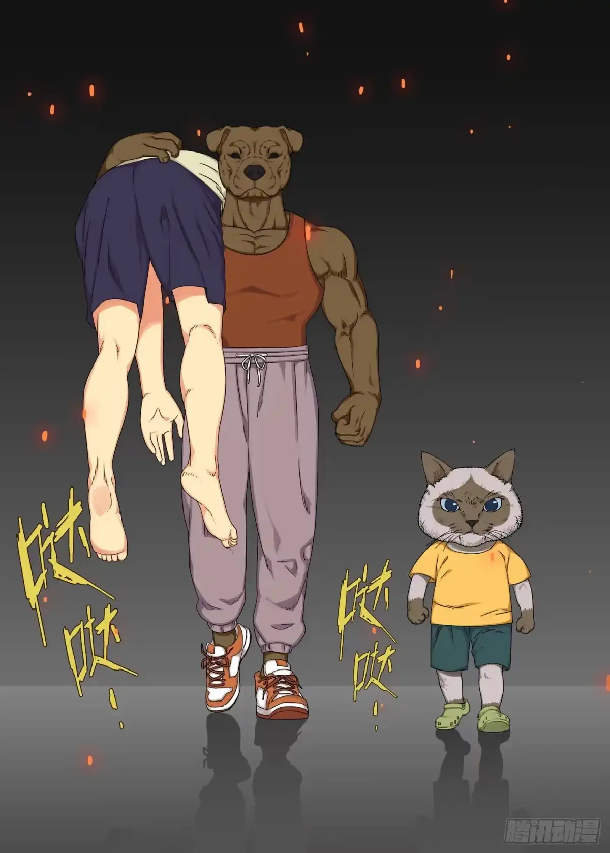 第12页