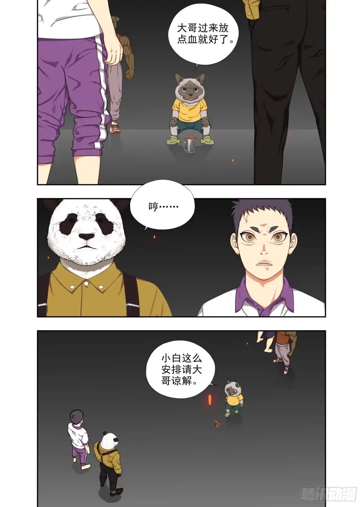 第5页