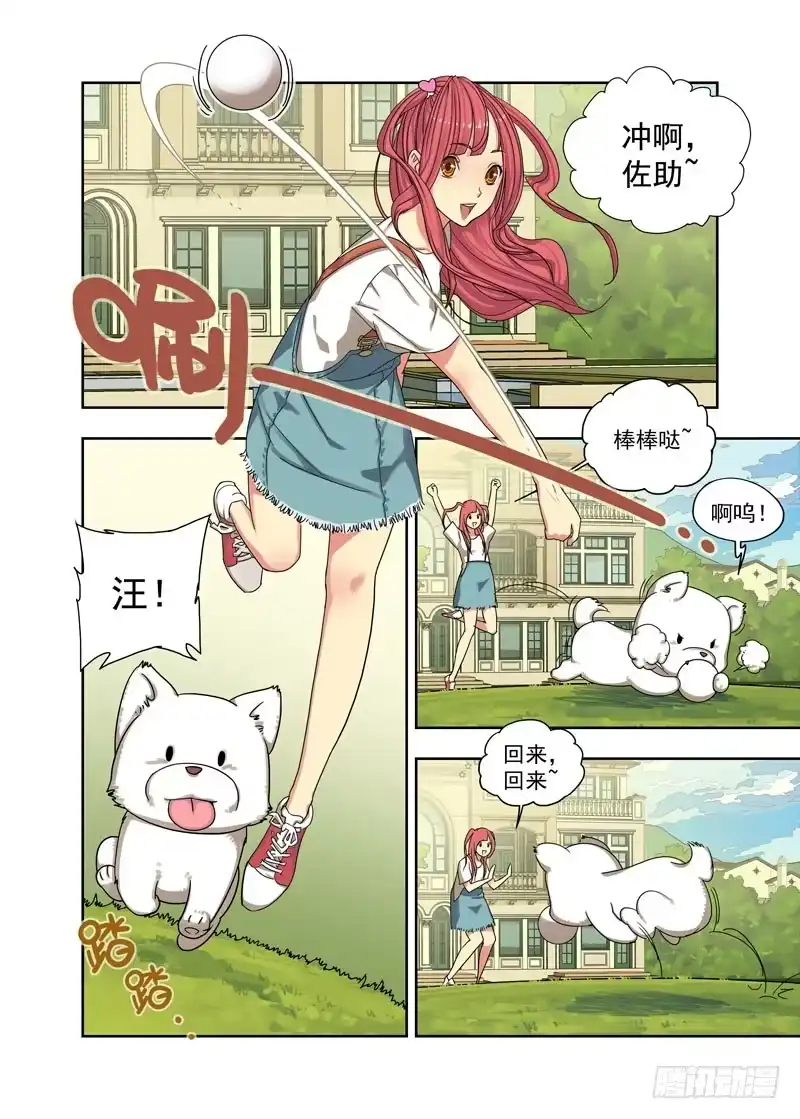 第5页