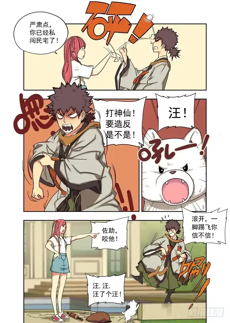 第3页