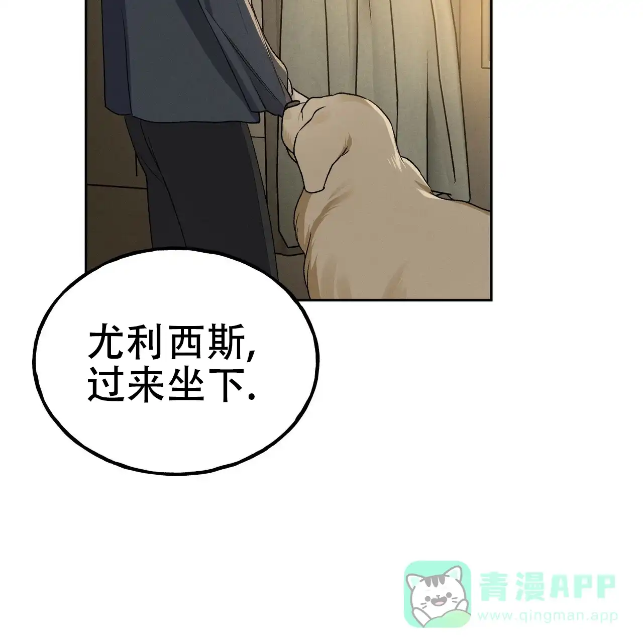 第41页