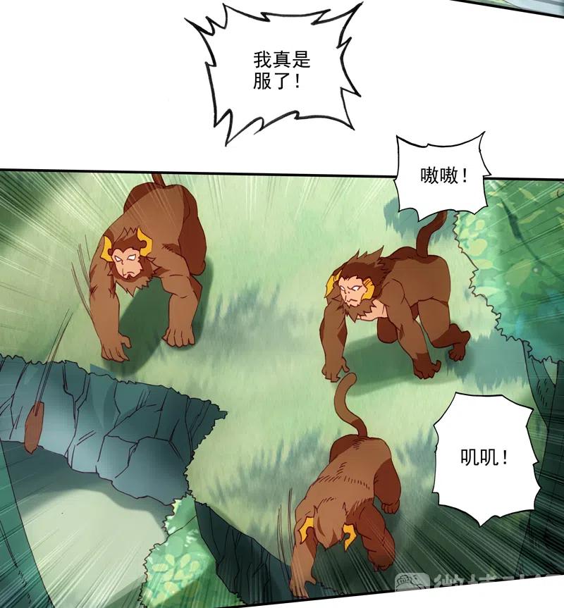 第44页