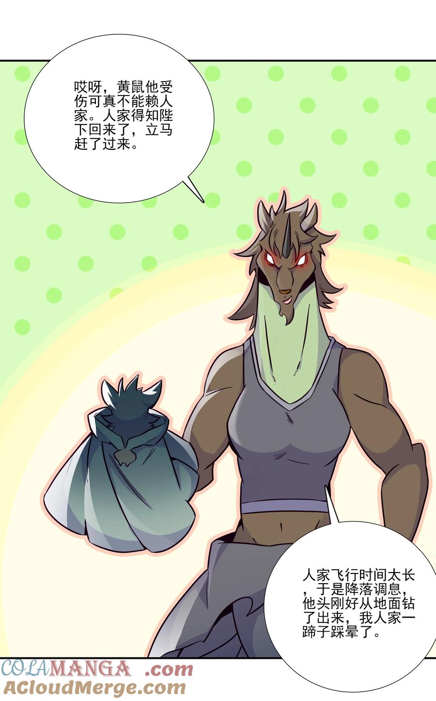 第43页