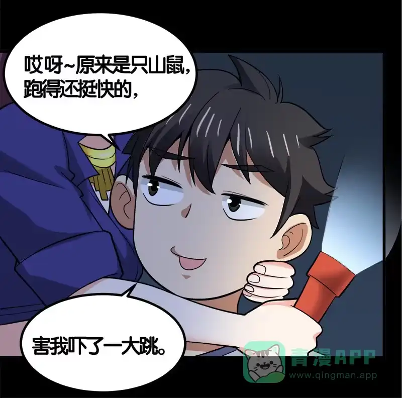 第31页