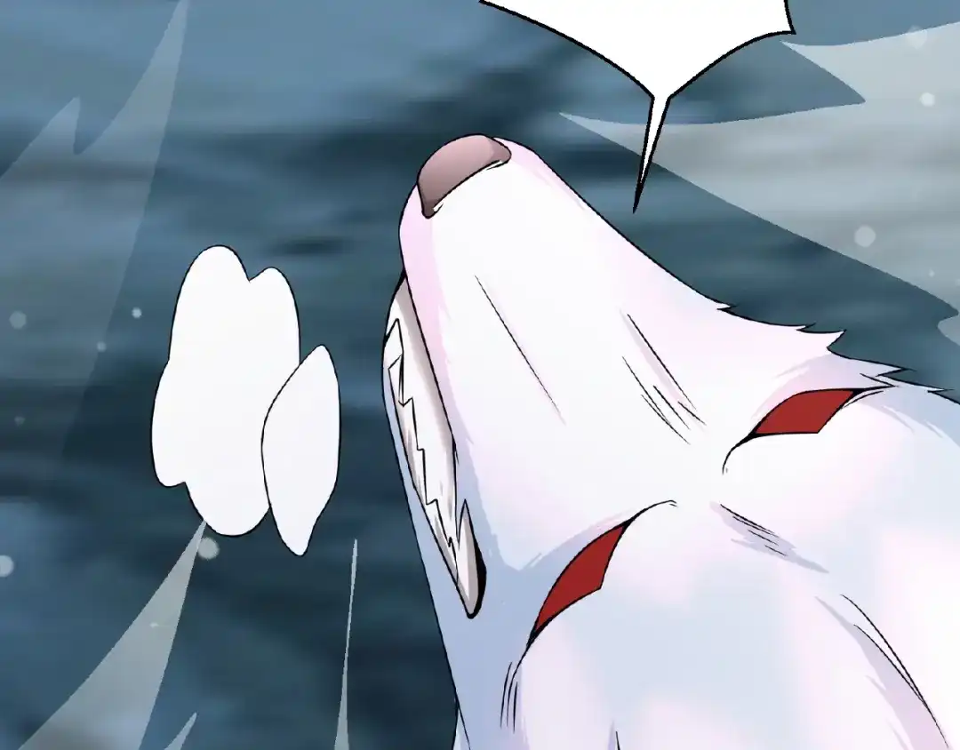 第214页