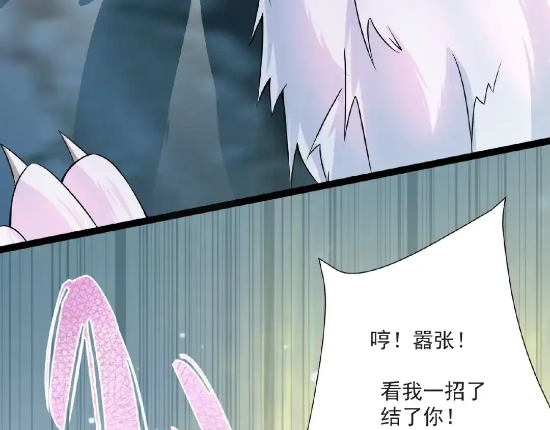 第215页