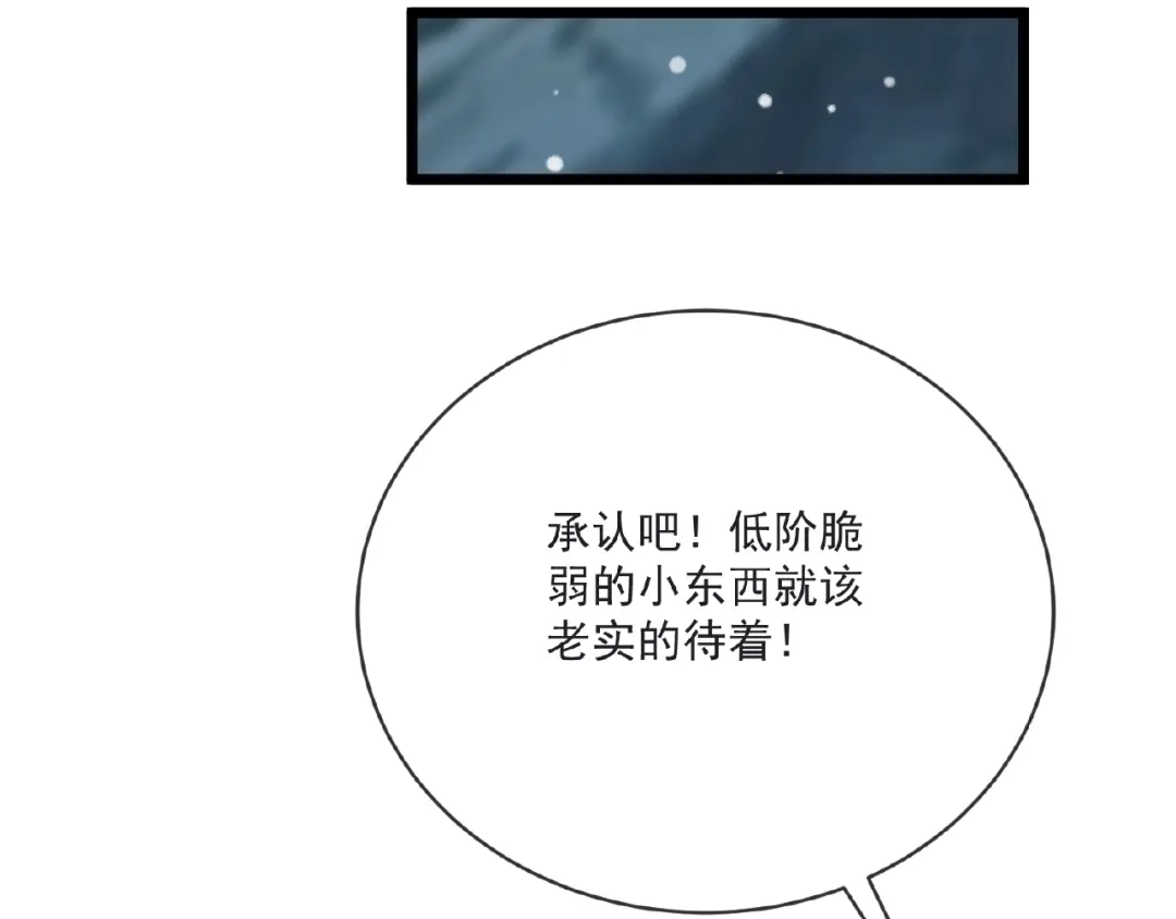 第221页