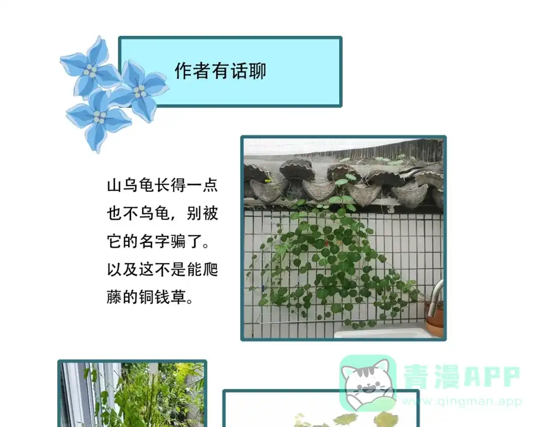 第161页