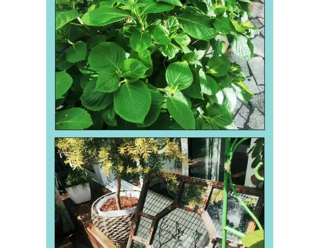 第80页