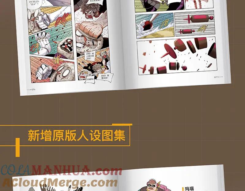 第113页
