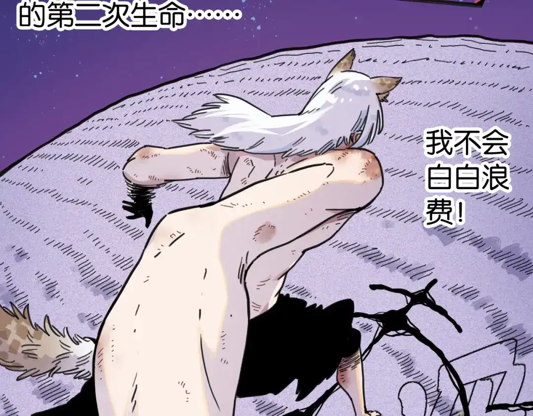 第206页