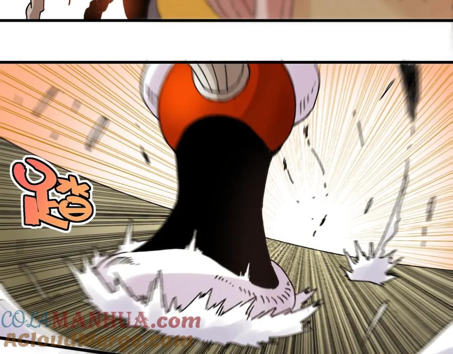 第233页