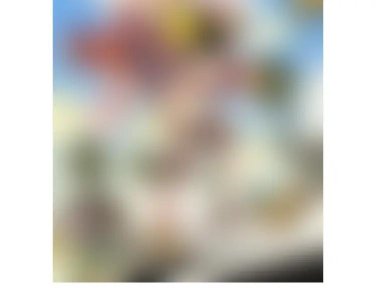 第100页