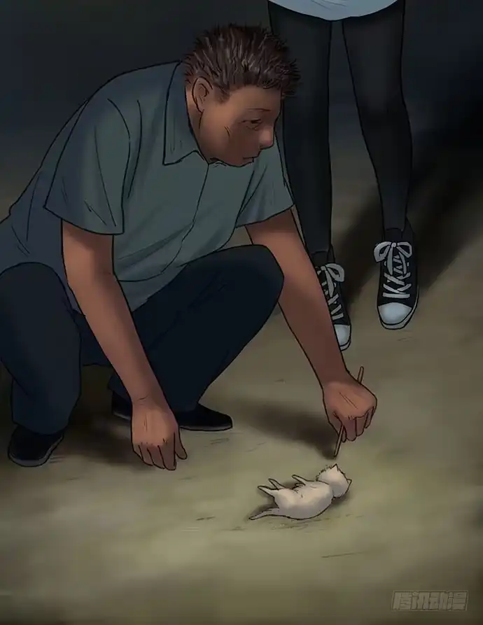第54页