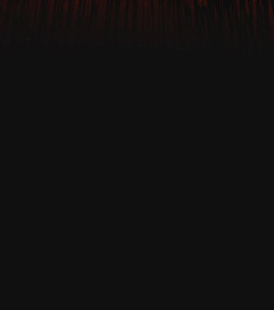 第291页