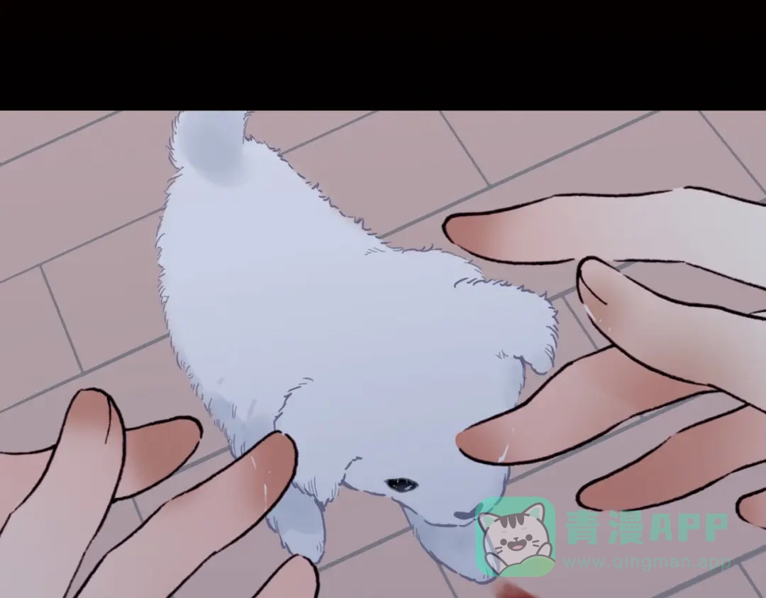 第131页