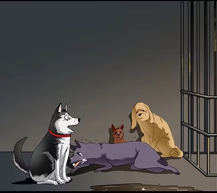 第4页