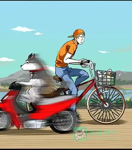 第11页