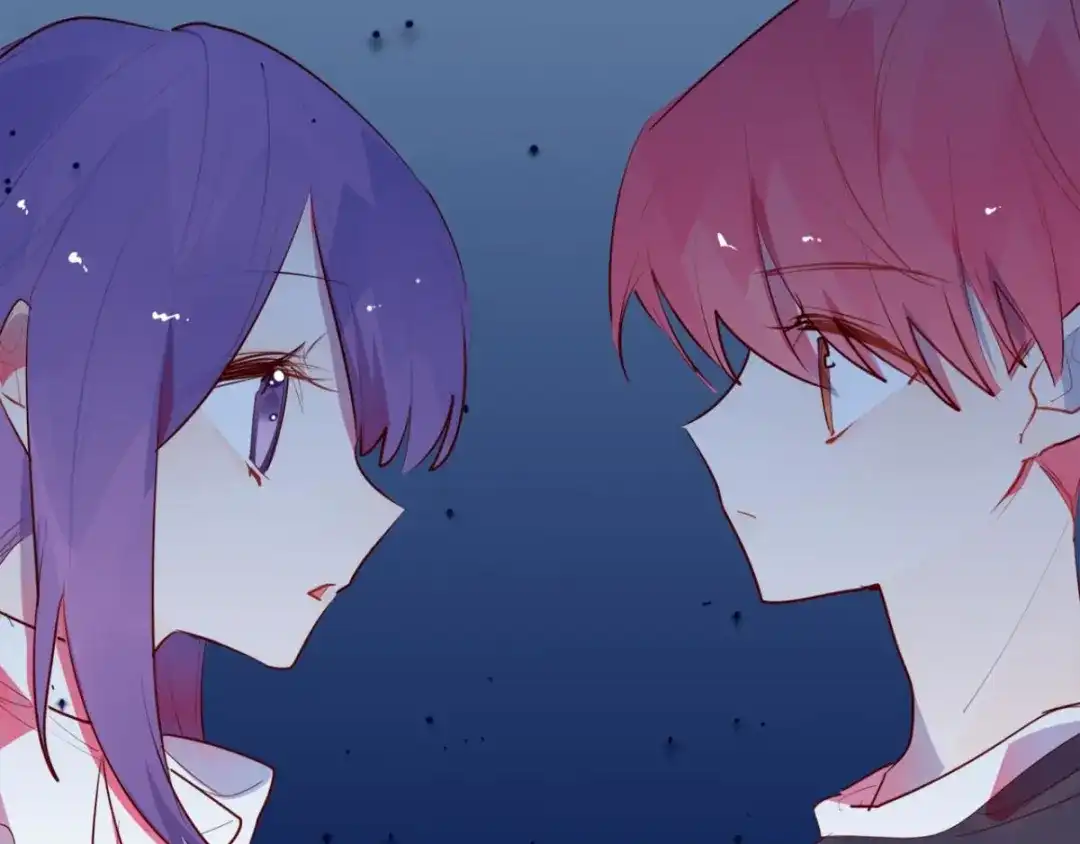 第146页