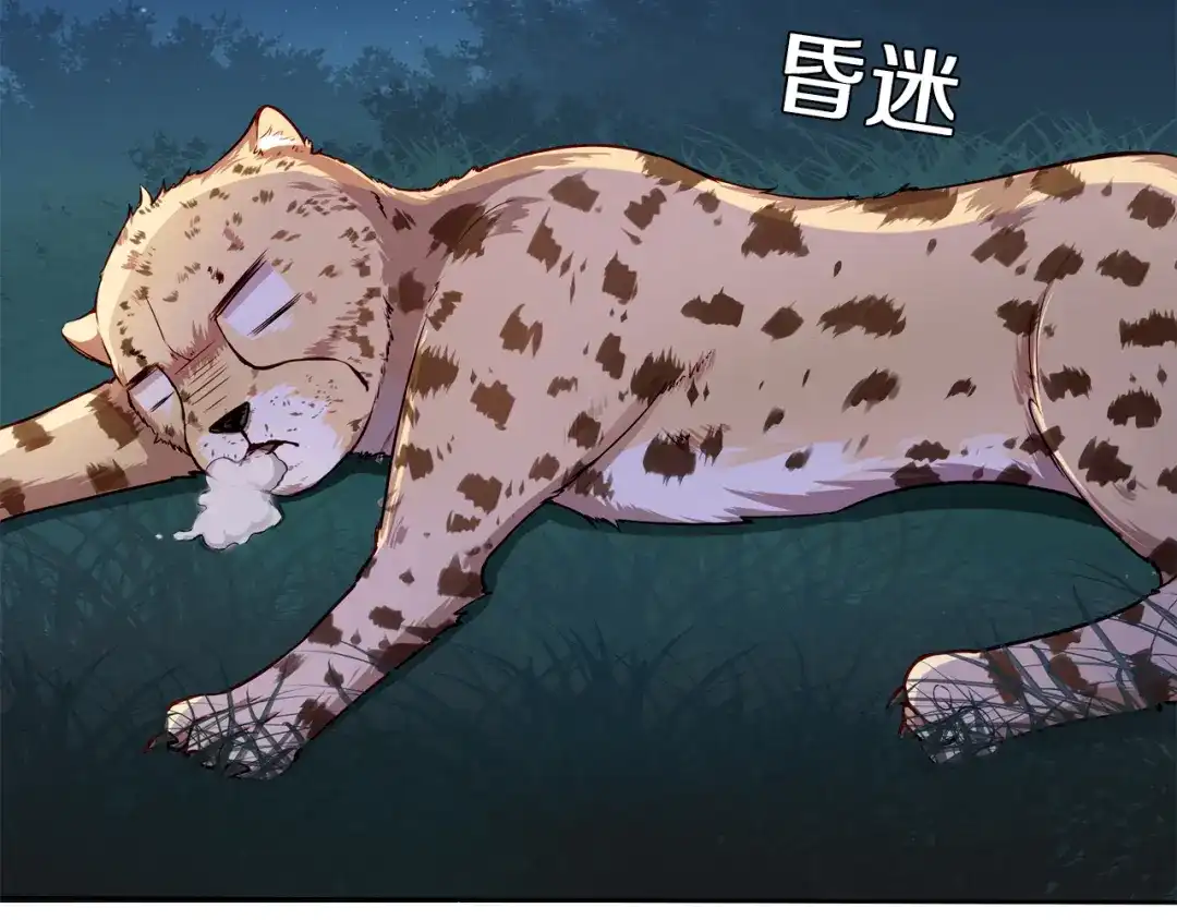 第37页