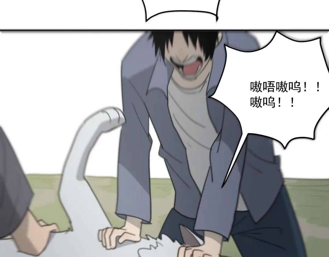 第244页