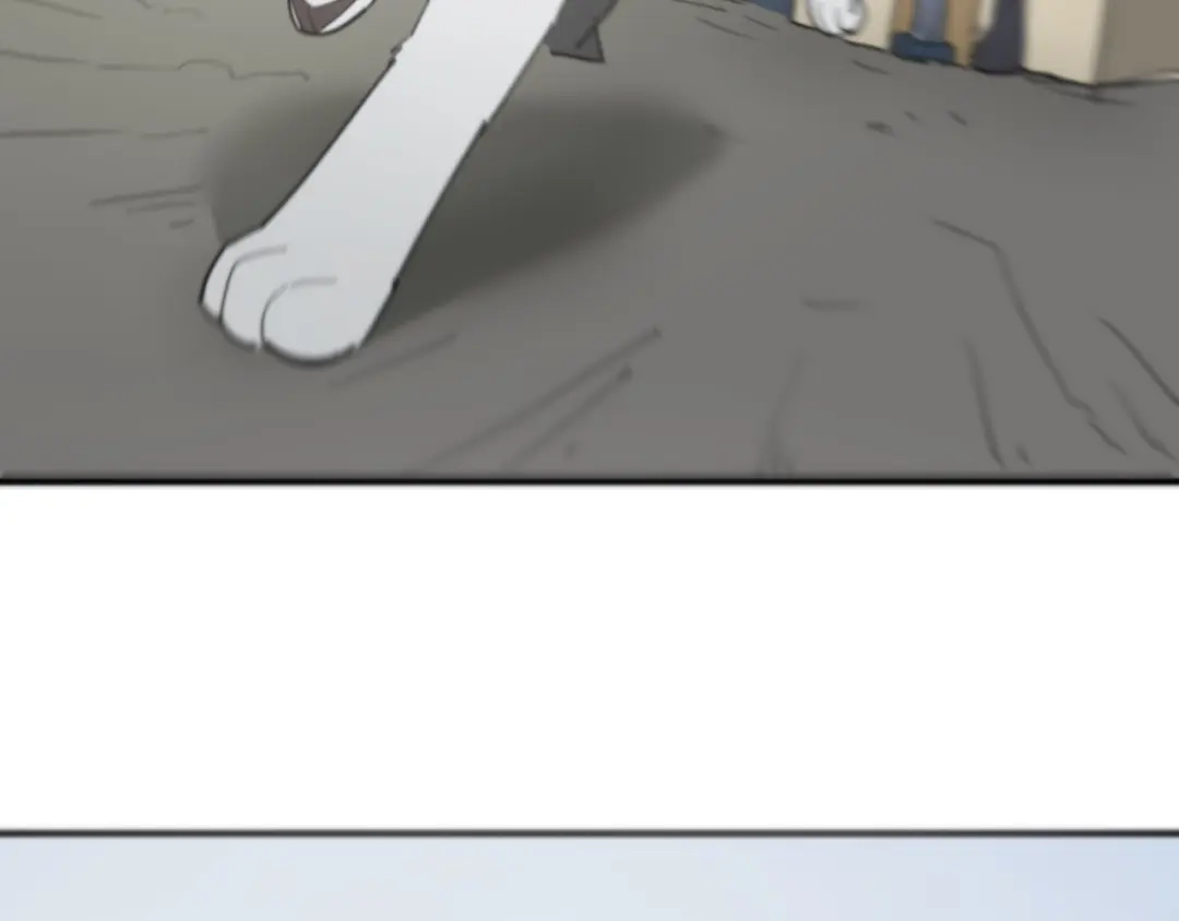第251页