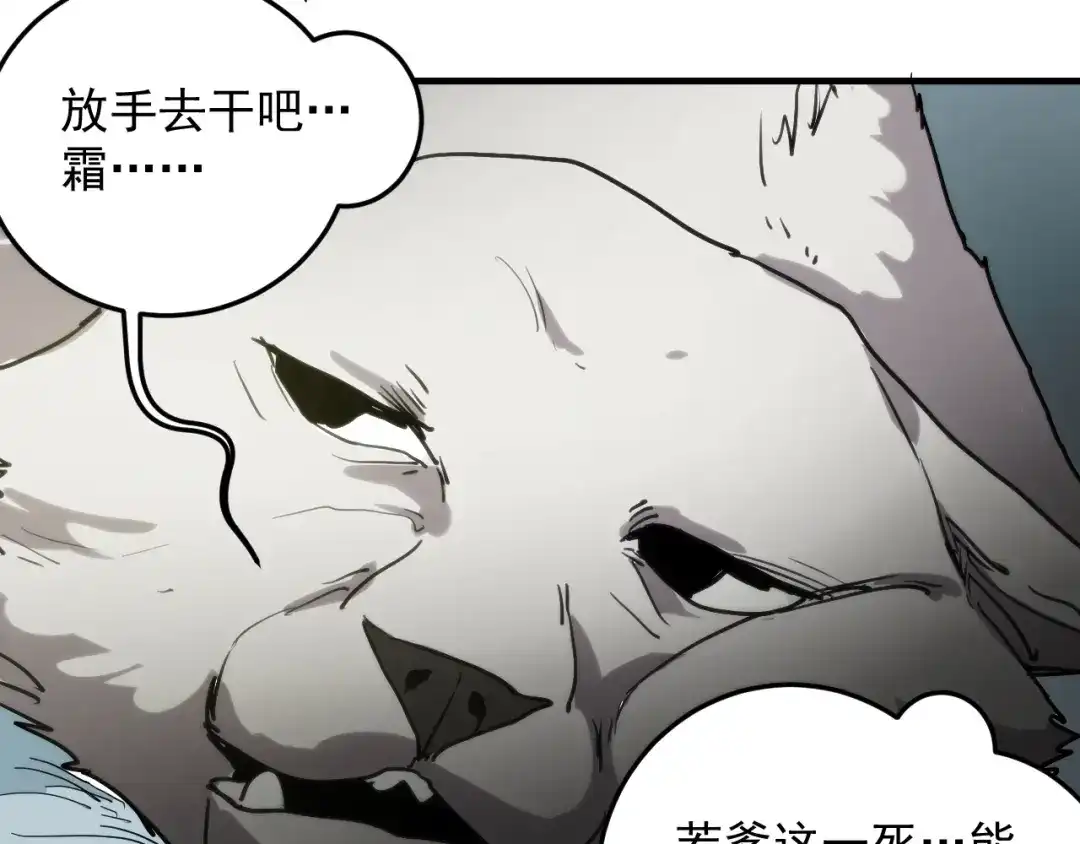 第213页