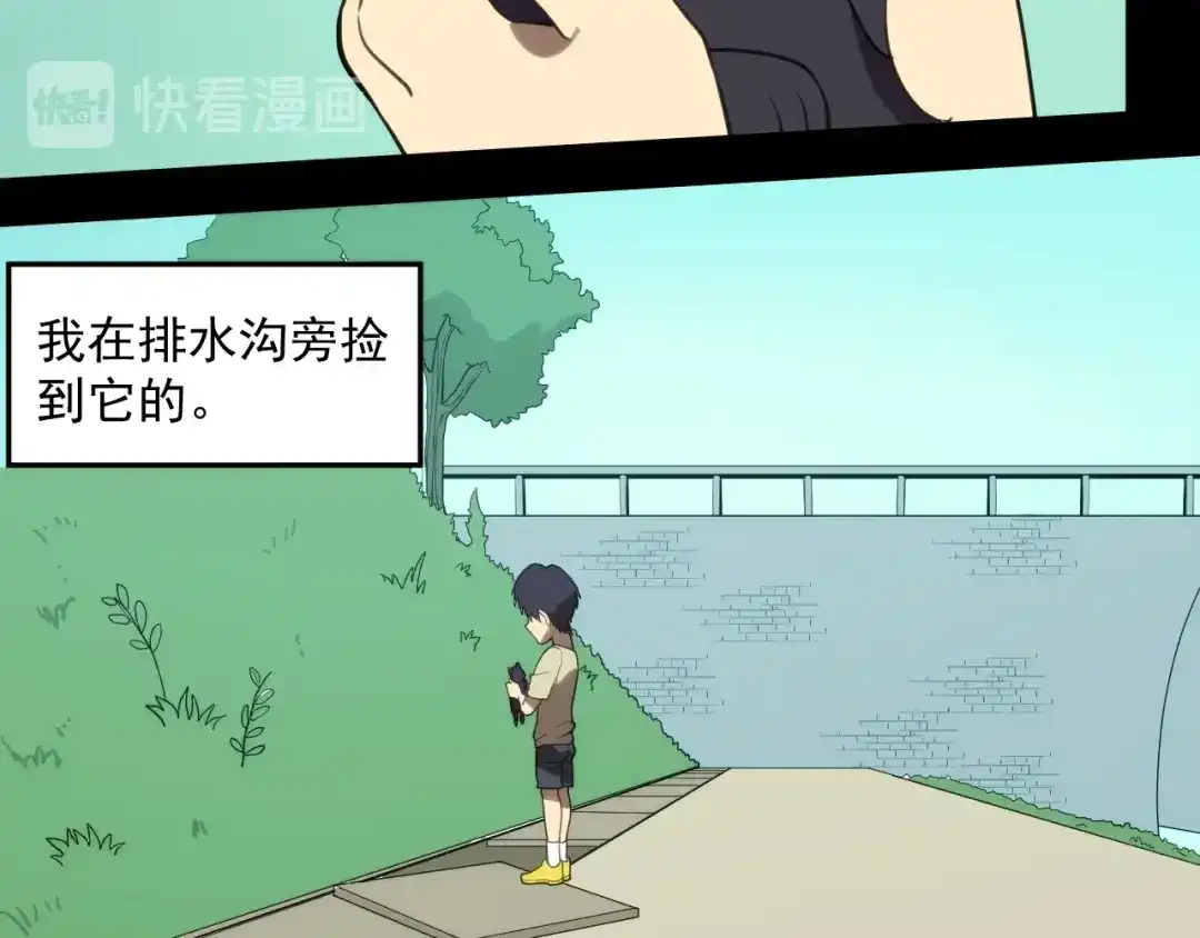 第40页
