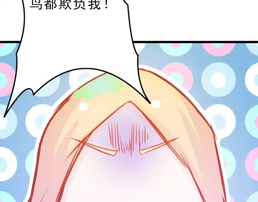 第215页