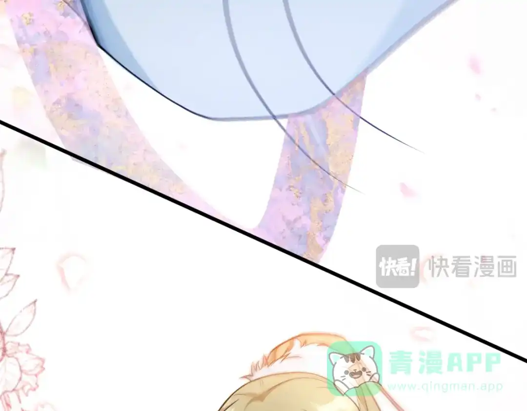 第206页