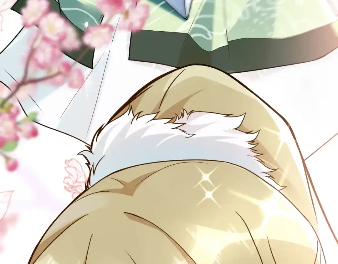 第210页