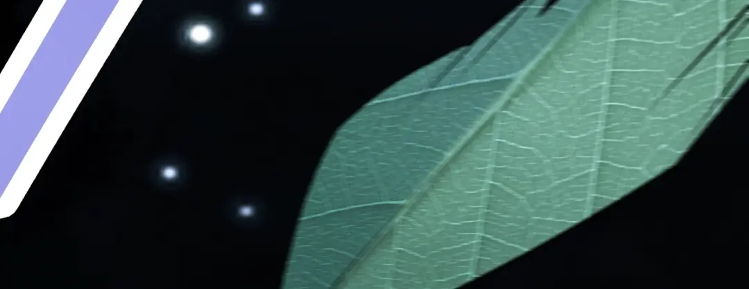 第180页