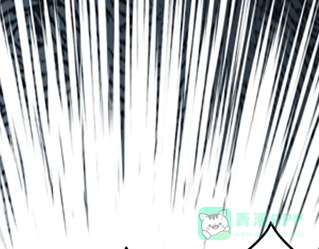 第206页