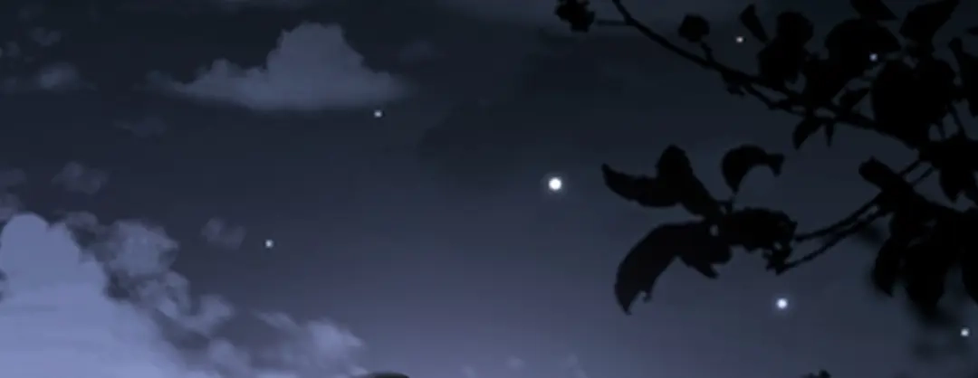 第212页