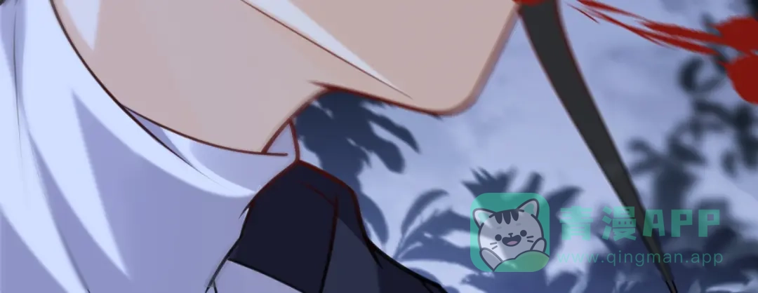 第216页
