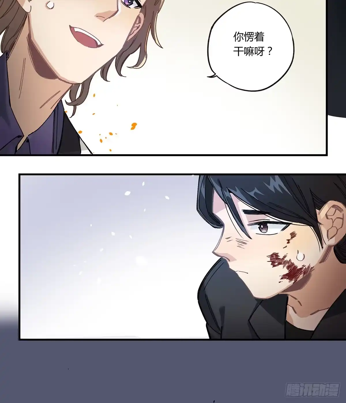 第43页