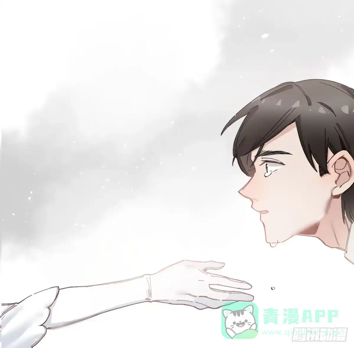 第161页