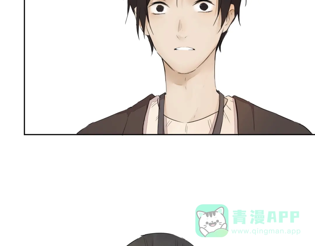 第251页