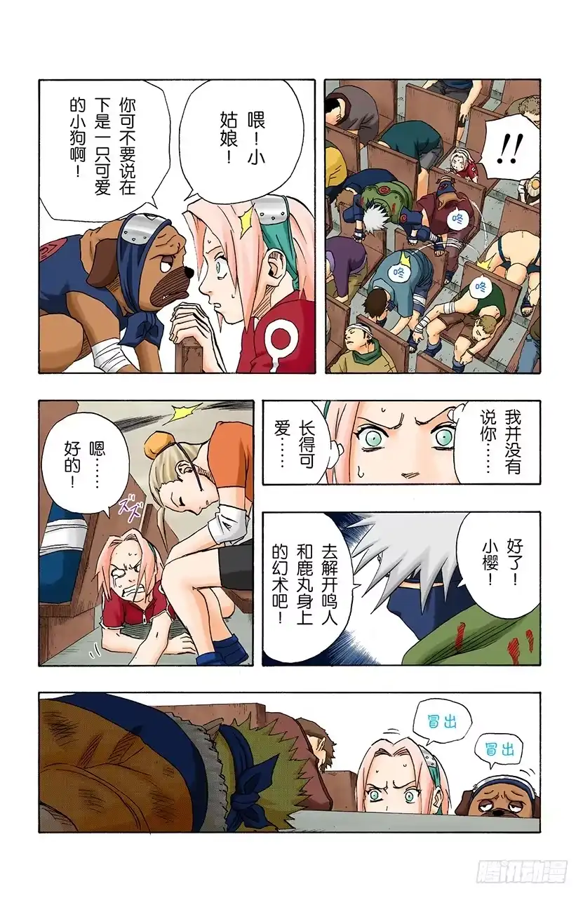 第5页
