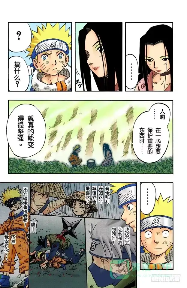 第11页