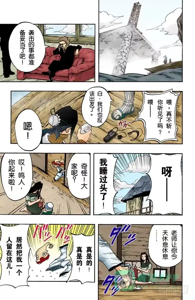 第11页