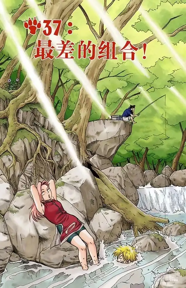 第4页