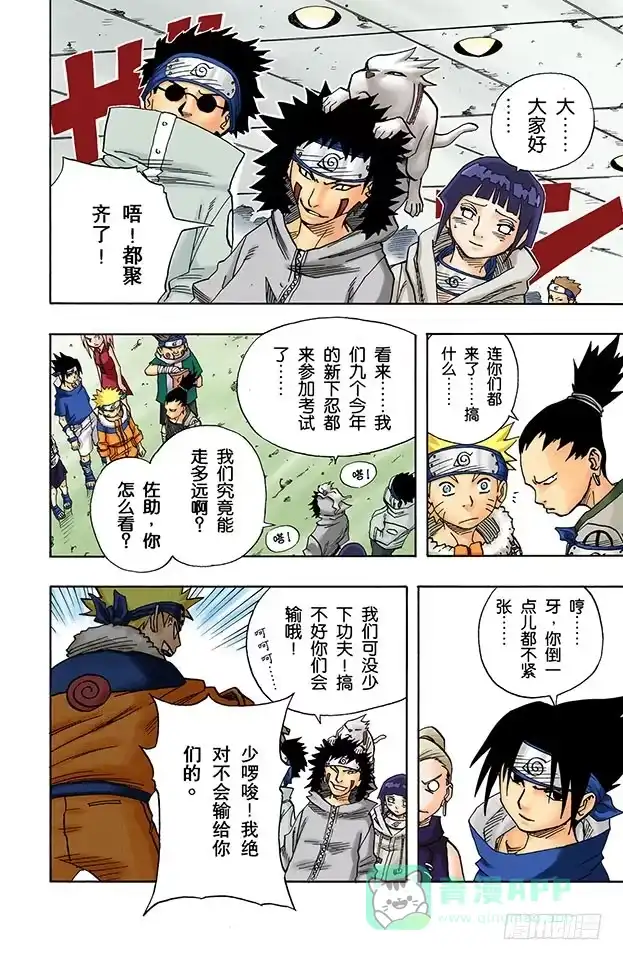 第6页