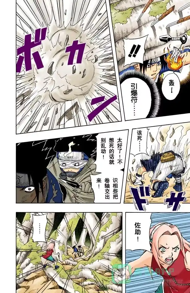 第11页