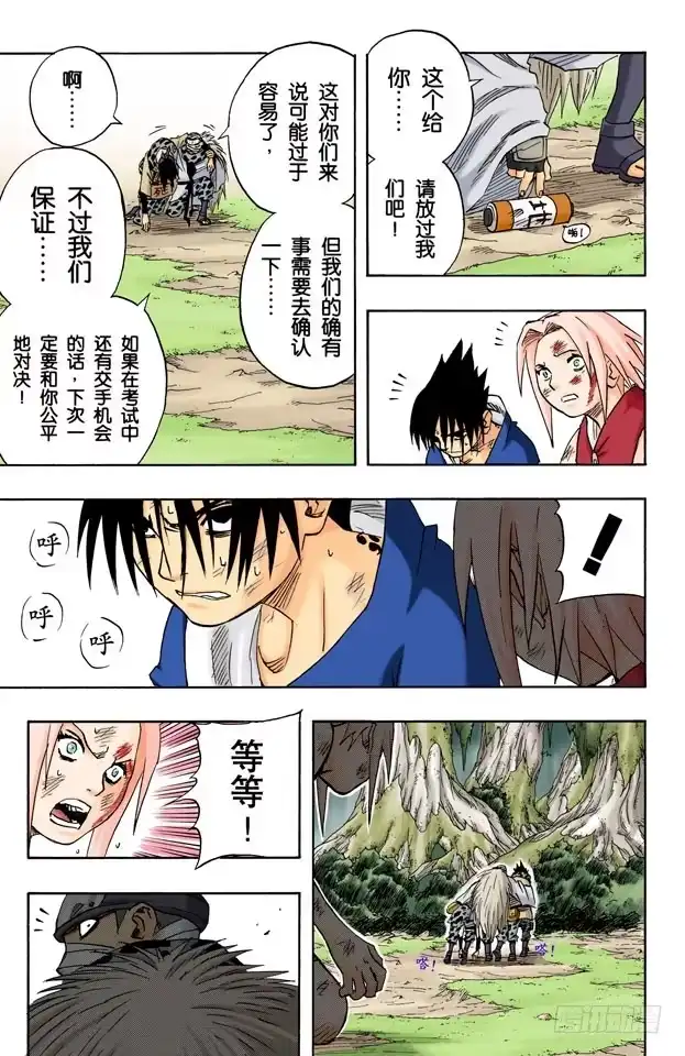 第17页