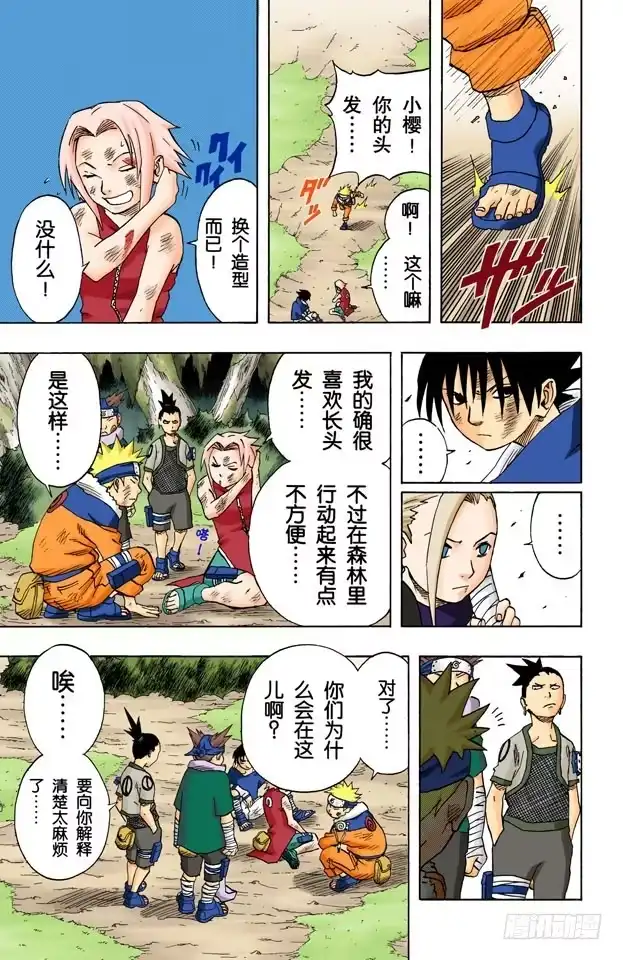 第5页