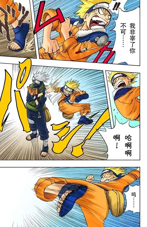 第5页