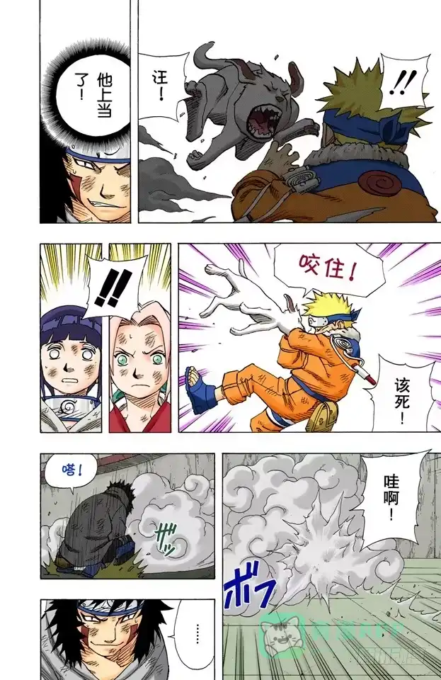 第16页