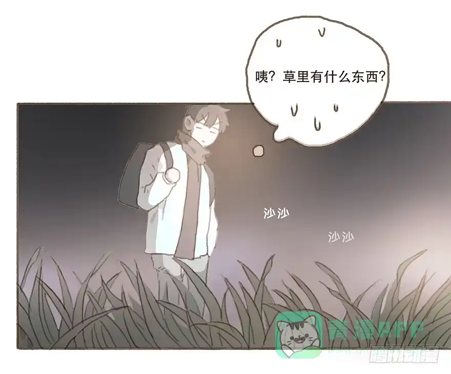 第36页