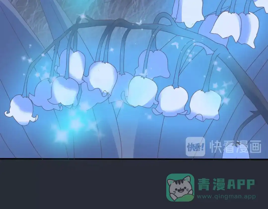 第256页